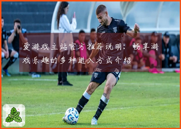 爱游戏主站官方推荐说明：畅享游戏乐趣的多种进入方式介绍