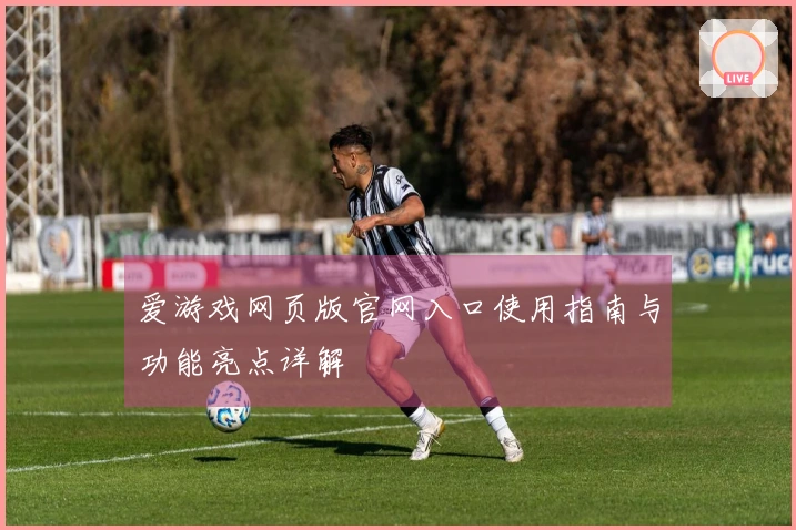 爱游戏网页版官网入口使用指南与功能亮点详解