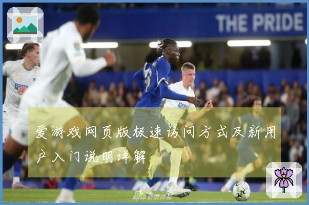 爱游戏网页版极速访问方式及新用户入门说明详解